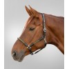 Waldhausen Leather Halter X-Line Nevada