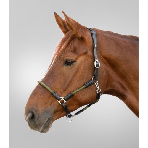Waldhausen Leather Halter X-Line Nevada