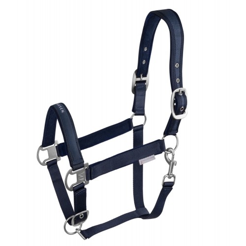 Waldhausen Halter Athletic