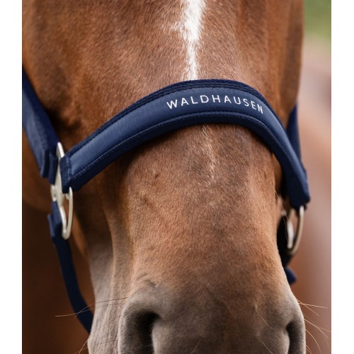 Waldhausen Halter Athletic