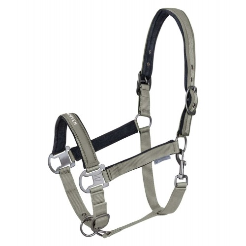 Waldhausen Halter Athletic