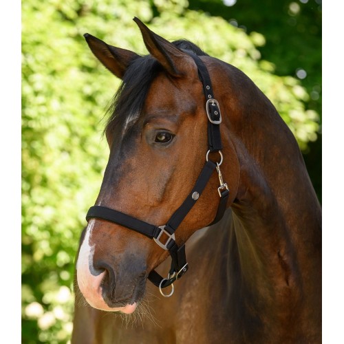 Waldhausen Halter Trinidad