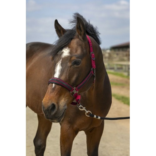 Equithème Nylon Rhinestone Halter