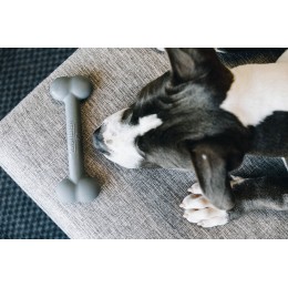 Kentucky силиконовый Bone Dog Toy