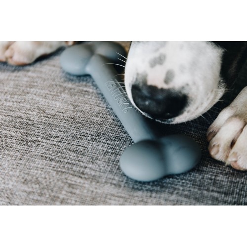 Kentucky Silicone Bone Dog Toy
