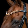 Imperial Riding SS26 Browband IRHGrande