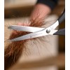 Waldhausen Easy-Cut Scissors