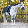 QHP FW25 Exercise Rug 1200D Turnout Collection Fleece