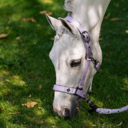 Imperial Riding SS26 недоуздок IRHRebel