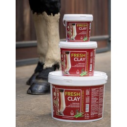 Kevin Bacon's Cooling Clay