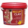Kevin Bacon's Recovery Clay