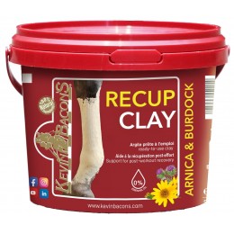 Kevin Bacon's Recovery Clay