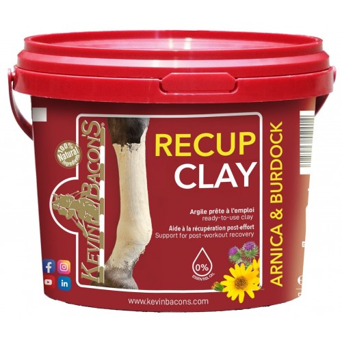 Kevin Bacon's Recovery Clay