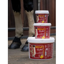 Kevin Bacon's Recovery Clay
