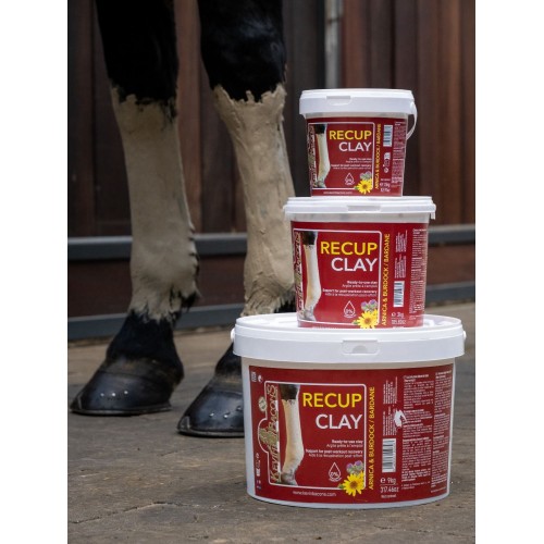 Kevin Bacon's Recovery Clay