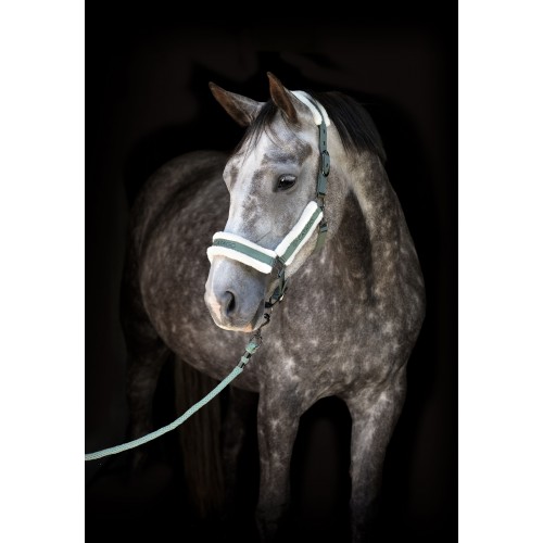 Catago SS26 Logi halter