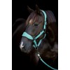 Catago FIR-Tech halter