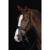 Collegiate Mono Crown Padded Raised Flash Bridle