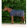 Waldhausen Economic Turnout Rug