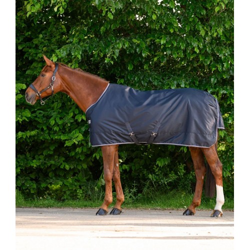 Waldhausen Economic Turnout Rug