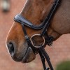 Passier Anatomical Ergonomic Flash Noseband