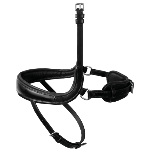 Passier Anatomical Ergonomic Flash Noseband