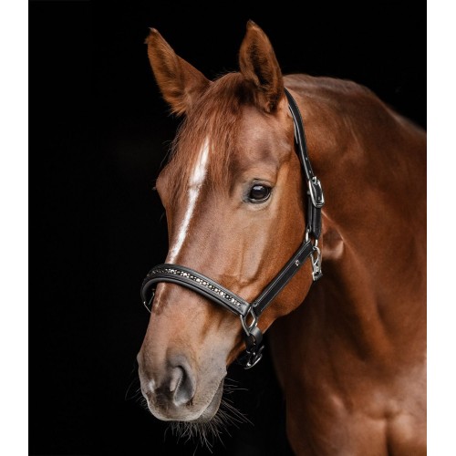 Waldhausen X-Line Leather Halter Crystal