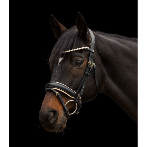 Waldhausen X-Line Bridle Ivory