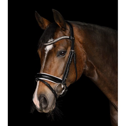 Waldhausen X-Line Bridle Evermore
