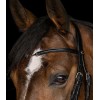 Waldhausen X-Line Bridle Charmbit
