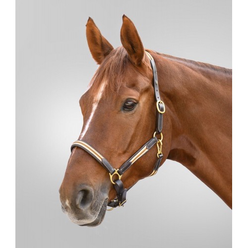 Waldhausen X-Line Leather Halter Oxford
