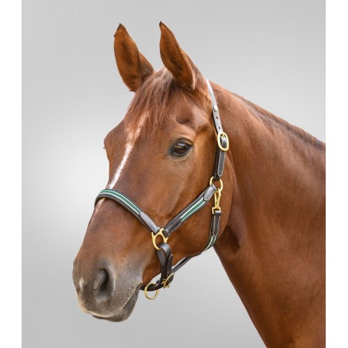 Waldhausen X-Line Leather Halter Oxford