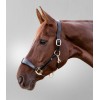 Waldhausen Leather Halter S-Line Royal
