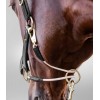 Waldhausen Leather Halter S-Line Royal