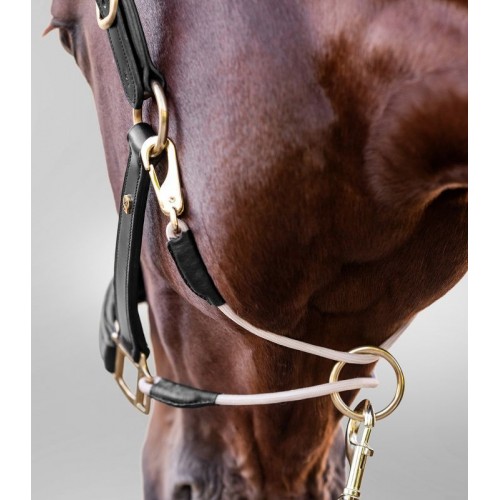Waldhausen Leather Halter S-Line Royal