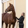 Waldhausen Leather Halter S-Line Royal