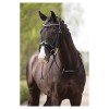 ANKY Comfort Fit Double Anatomical Bridle ATH19002