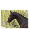 ANKY Comfort Fit Double Anatomical Bridle ATH19002