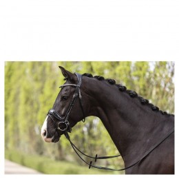 ANKY Comfort Fit Double Anatomical уздечка ATH19002
