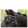 ANKY Comfort Fit Double Anatomical Bridle ATH19002