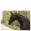 ANKY Bridle with Pullback Noseband