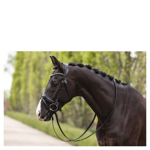 ANKY Bridle with Pullback Noseband