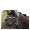ANKY Bridle with Pullback Noseband