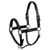 ANKY Victory Halter