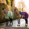 Amigo Fleece Cooler