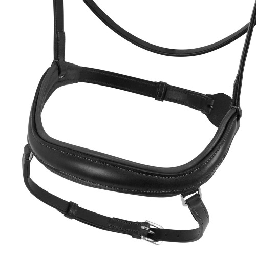 Acavallo Anatomical Bridle Allegoria