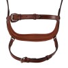 Acavallo Anatomical Bridle Allegoria