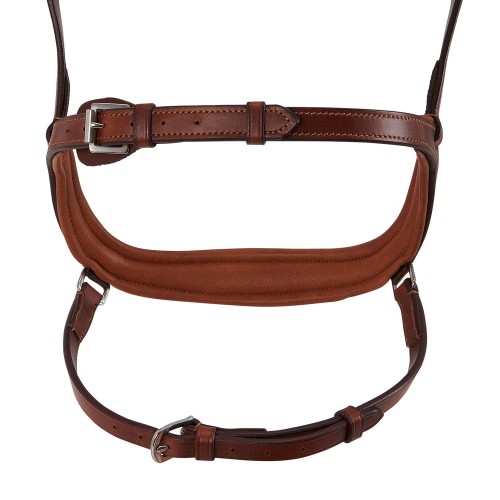 Acavallo Anatomical Bridle Allegoria