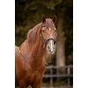 F.R.A. Moonlight Bitless Bridle