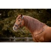 F.R.A. Moonlight Bitless Bridle